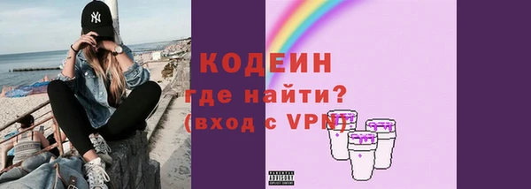 шишки Слюдянка
