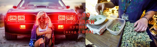 бутират Гусев